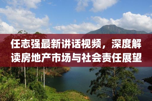 任志強(qiáng)最新講話視頻，深度解讀房地產(chǎn)市場(chǎng)與社會(huì)責(zé)任展望