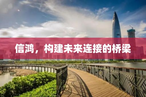 信鴻，構建未來連接的橋梁