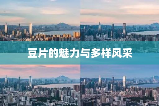 豆片的魅力與多樣風采