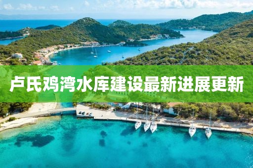 盧氏雞灣水庫建設(shè)最新進展更新