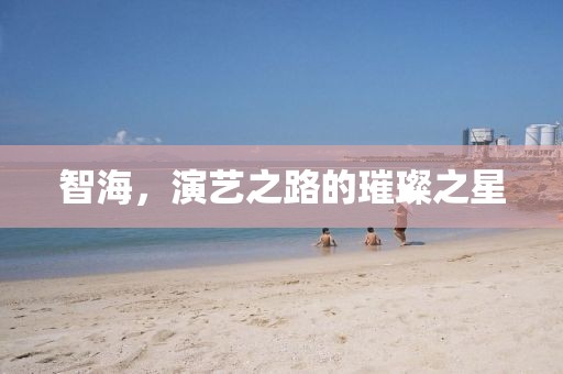 智海，演藝之路的璀璨之星