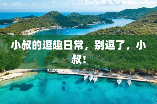 小叔的逗趣日常，別逗了，小叔！