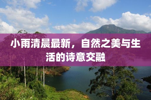 小雨清晨最新，自然之美與生活的詩意交融