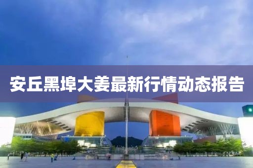 安丘黑埠大姜最新行情動態(tài)報告