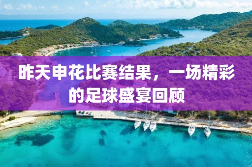 昨天申花比賽結果,一場精彩的足球盛宴回顧