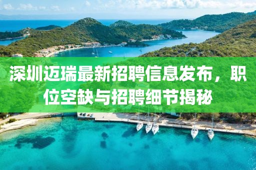 深圳邁瑞最新招聘信息發布,職位空缺與招聘細節揭秘