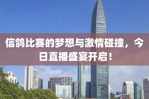 信鴿比賽的夢(mèng)想與激情碰撞,今日直播盛宴開啟!