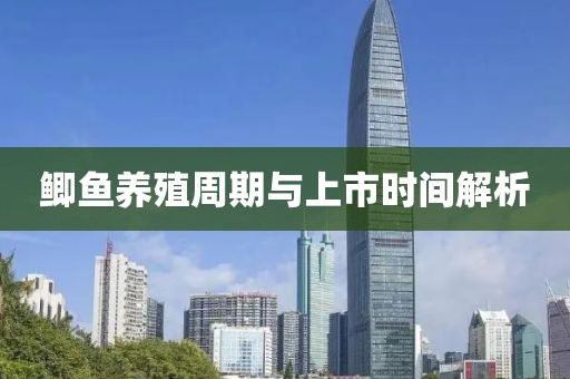 鯽魚養殖周期與上市時間解析