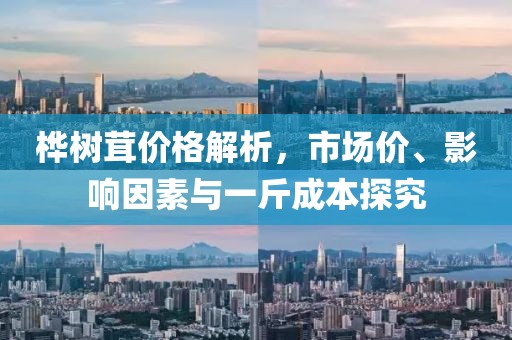 樺樹茸價格解析，市場價、影響因素與一斤成本探究