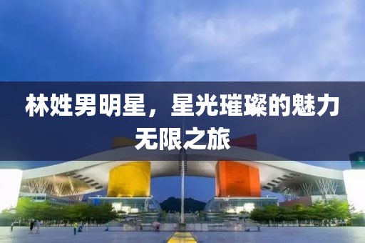 林姓男明星,星光璀璨的魅力無限之旅