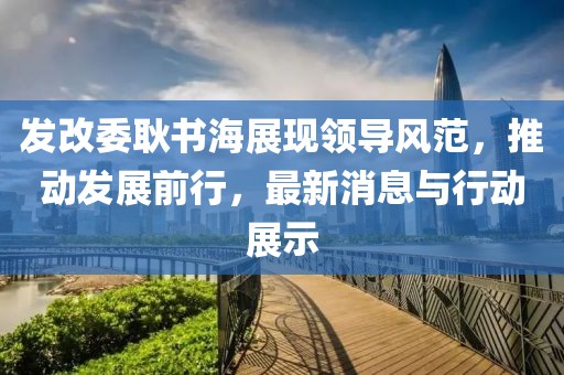 發改委耿書海展現領導風范，推動發展前行，最新消息與行動展示