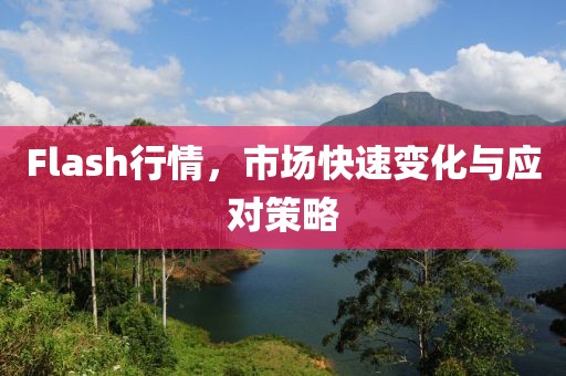 Flash行情,市場快速變化與應(yīng)對策略