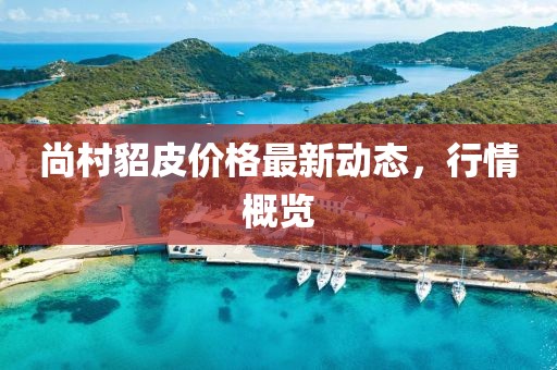 尚村貂皮價格最新動態，行情概覽