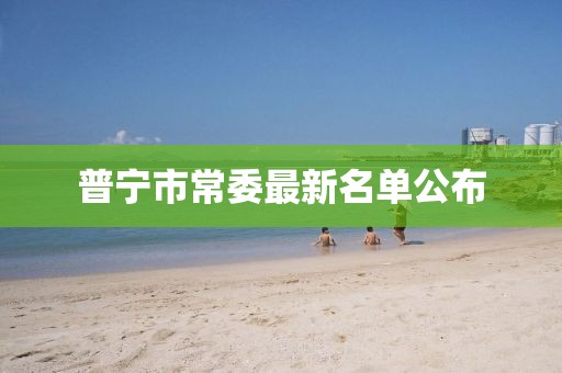 普寧市常委最新名單公布