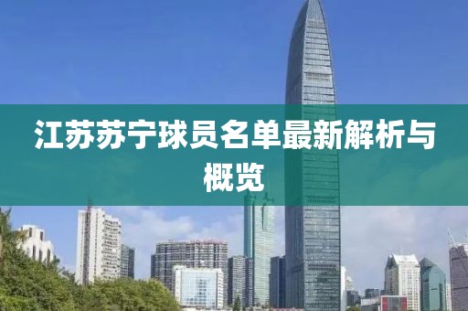 江蘇蘇寧球員名單最新解析與概覽