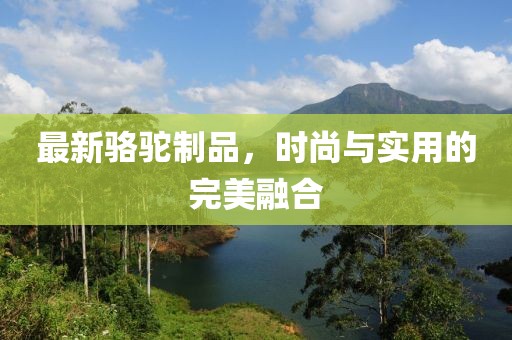 最新駱駝制品,時(shí)尚與實(shí)用的完美融合