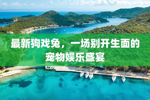 最新狗戲兔，一場別開生面的寵物娛樂盛宴