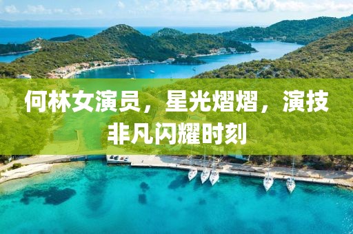 何林女演員，星光熠熠，演技非凡閃耀時刻