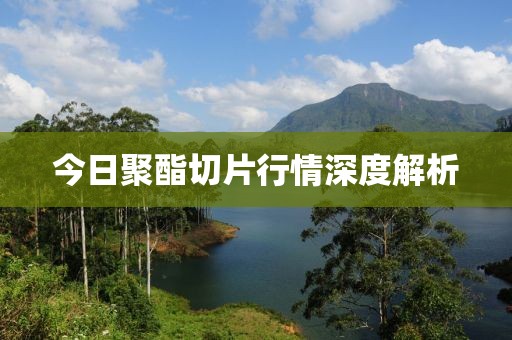 今日聚酯切片行情深度解析