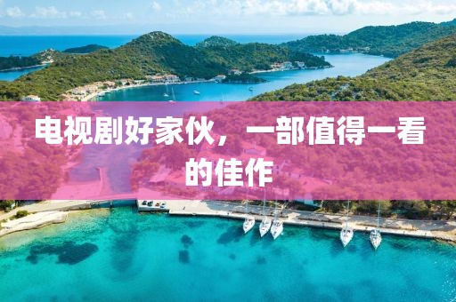 電視劇好家伙,一部值得一看的佳作