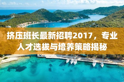 擠壓班長最新招聘2017,專業人才選拔與培養策略揭秘