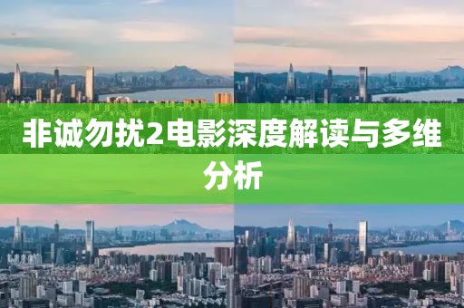 非誠勿擾2電影深度解讀與多維分析