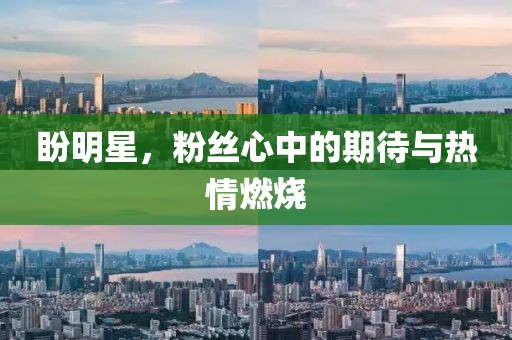 盼明星,粉絲心中的期待與熱情燃燒