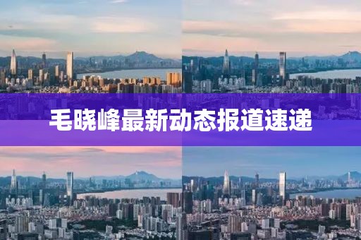 毛曉峰最新動(dòng)態(tài)報(bào)道速遞