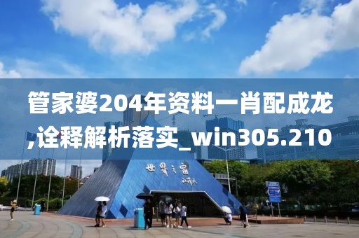 管家婆204年資料一肖配成龍,詮釋解析落實_win305.210