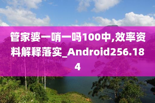 管家婆一哨一嗎100中,效率資料解釋落實_Android256.184