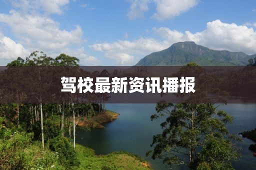 兩把槍闖天下 第3頁