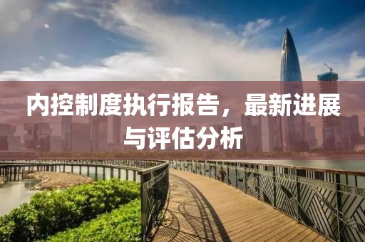 內(nèi)控制度執(zhí)行報(bào)告,最新進(jìn)展與評(píng)估分析