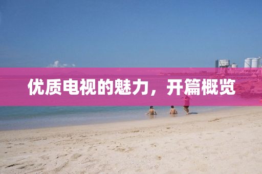 優質電視的魅力，開篇概覽