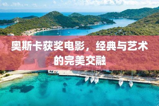 奧斯卡獲獎電影，經(jīng)典與藝術(shù)的完美交融