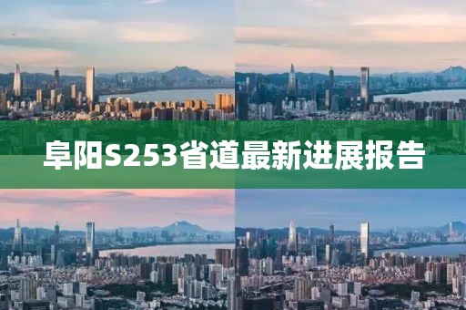 阜陽S253省道最新進展報告