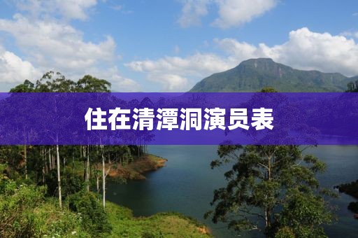 住在清潭洞演員表