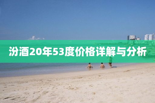 汾酒20年53度價格詳解與分析
