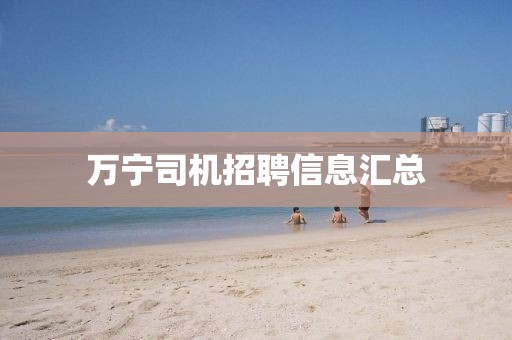 萬寧司機招聘信息匯總