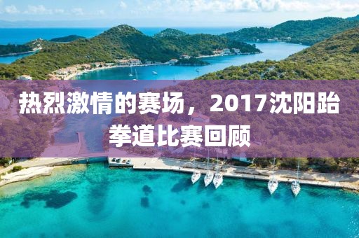 熱烈激情的賽場,2017沈陽跆拳道比賽回顧