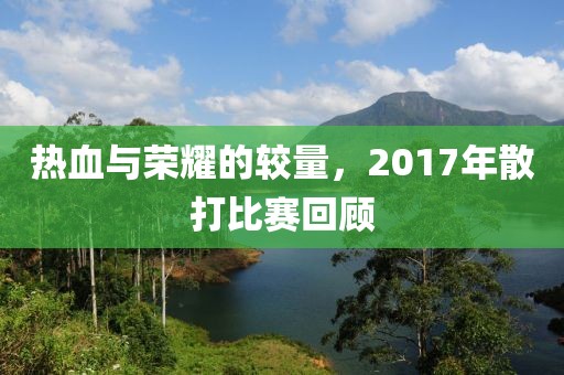 熱血與榮耀的較量,2017年散打比賽回顧