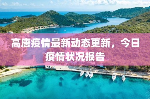 高唐疫情最新動態(tài)更新，今日疫情狀況報告