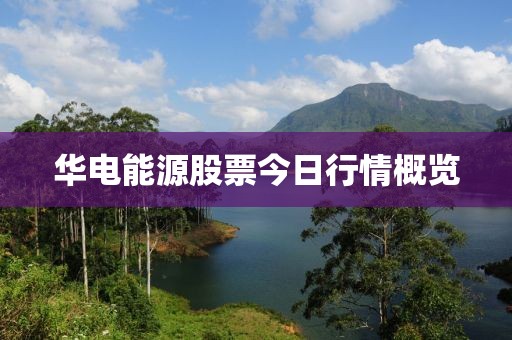 華電能源股票今日行情概覽