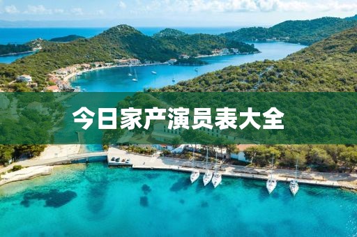 今日家產(chǎn)演員表大全