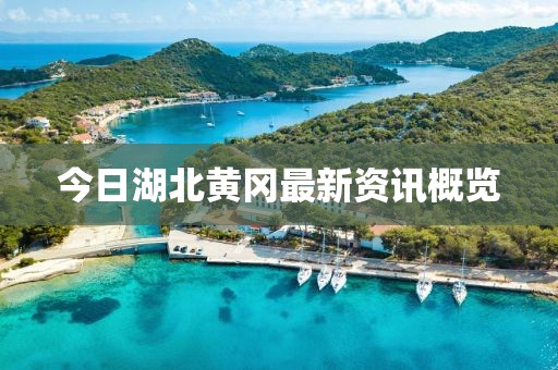 今日湖北黃岡最新資訊概覽