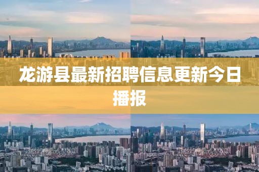 龍游縣最新招聘信息更新今日播報