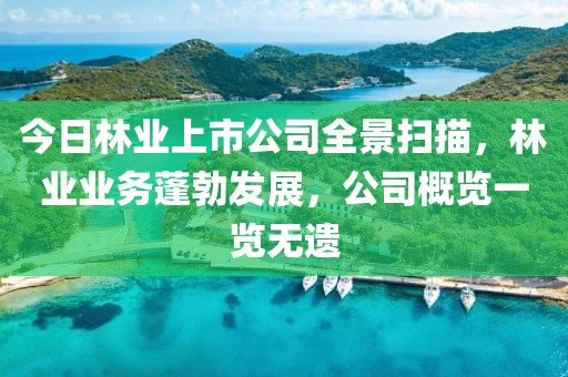 今日林業上市公司全景掃描，林業業務蓬勃發展，公司概覽一覽無遺