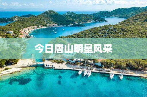 今日唐山明星風采