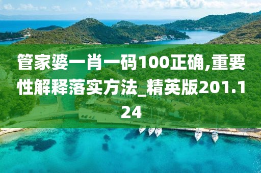 管家婆一肖一碼100正確,重要性解釋落實方法_精英版201.124