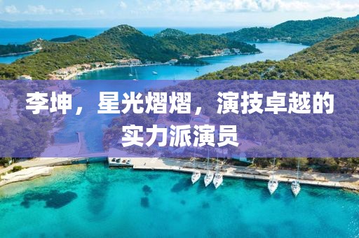 李坤，星光熠熠，演技卓越的實力派演員