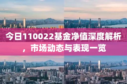 今日110022基金凈值深度解析，市場動態與表現一覽